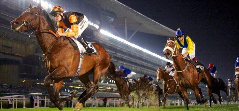 Верховая езда на лошадях: виды скачек