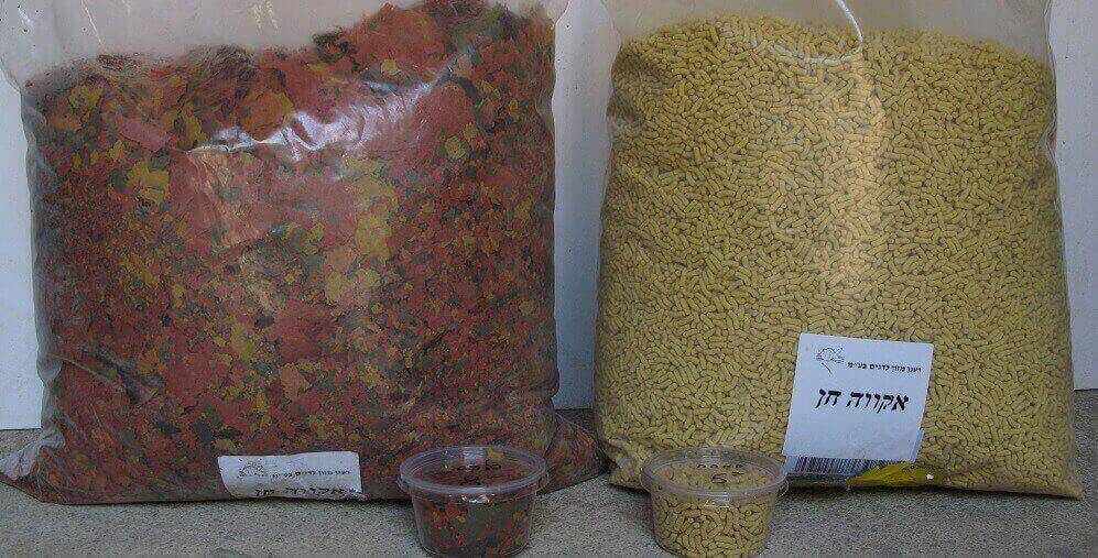 How to Properly Feed Your Fish? Types of food