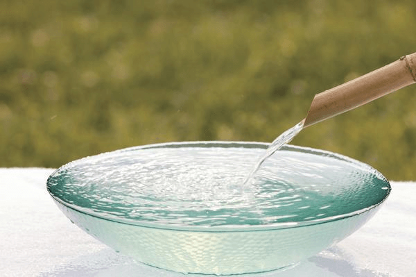 How to Bath a Wavy Parrot at Home