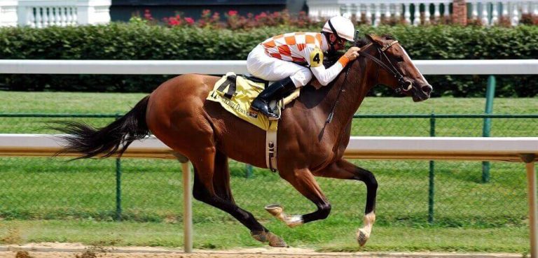 Interesting Facts about Horses: 23 Amazing Things to Know