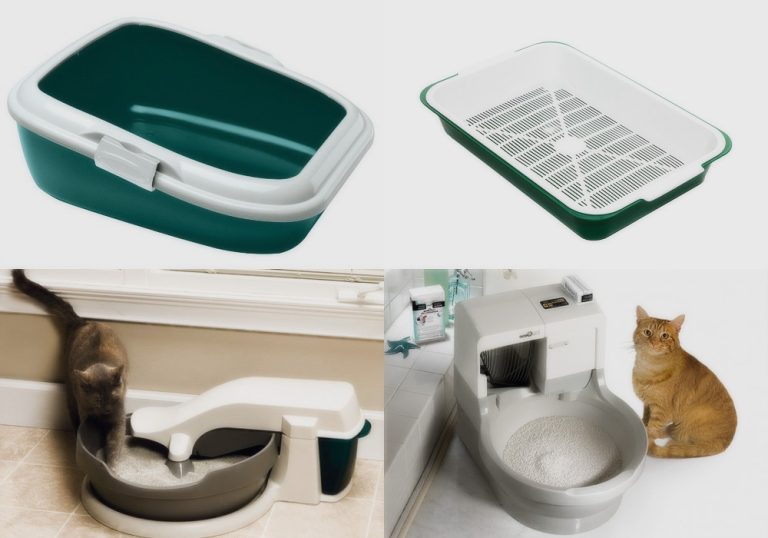 How to Litter Train a Cat, Tray Types and Different Fillers