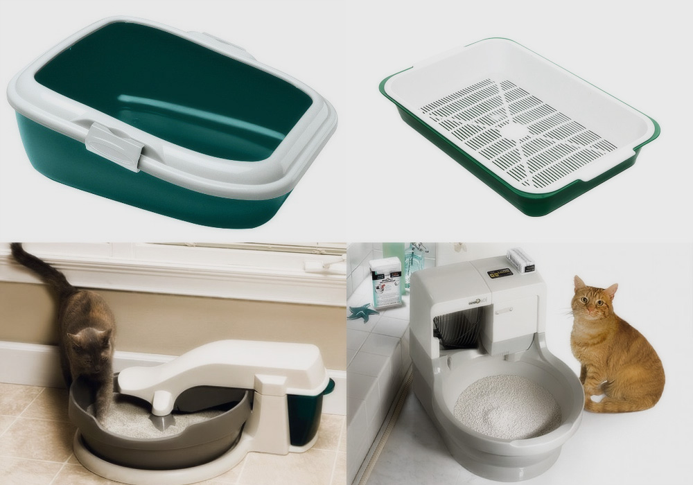 How to Litter Train a Cat, Tray Types and Different Fillers