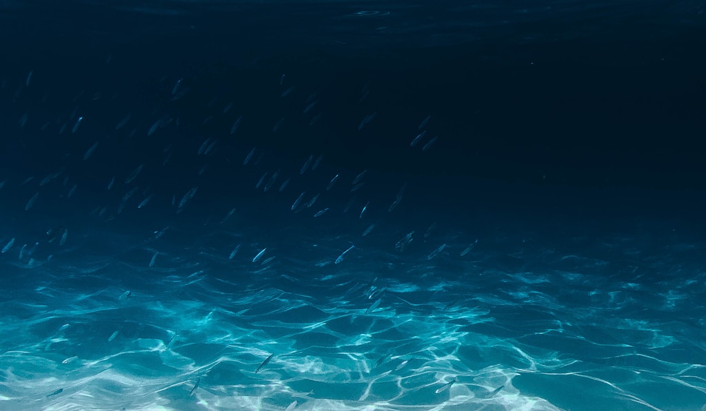 Ð‘Ð°Ñ€Ð±ÑƒÑ