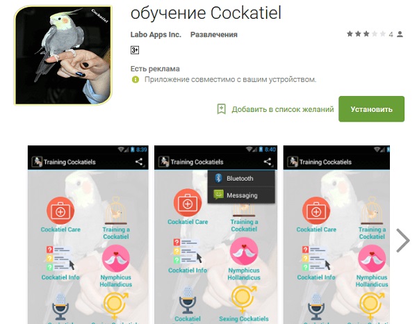 ÐžÐ±ÑƒÑ‡ÐµÐ½Ð¸Ðµ Cockatiel