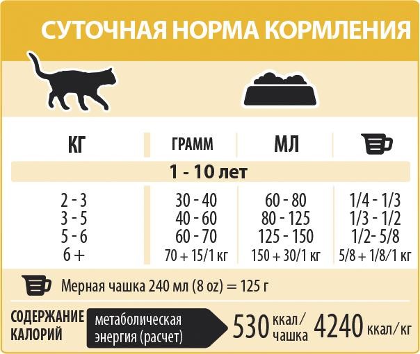 Daily feeding rate for cats